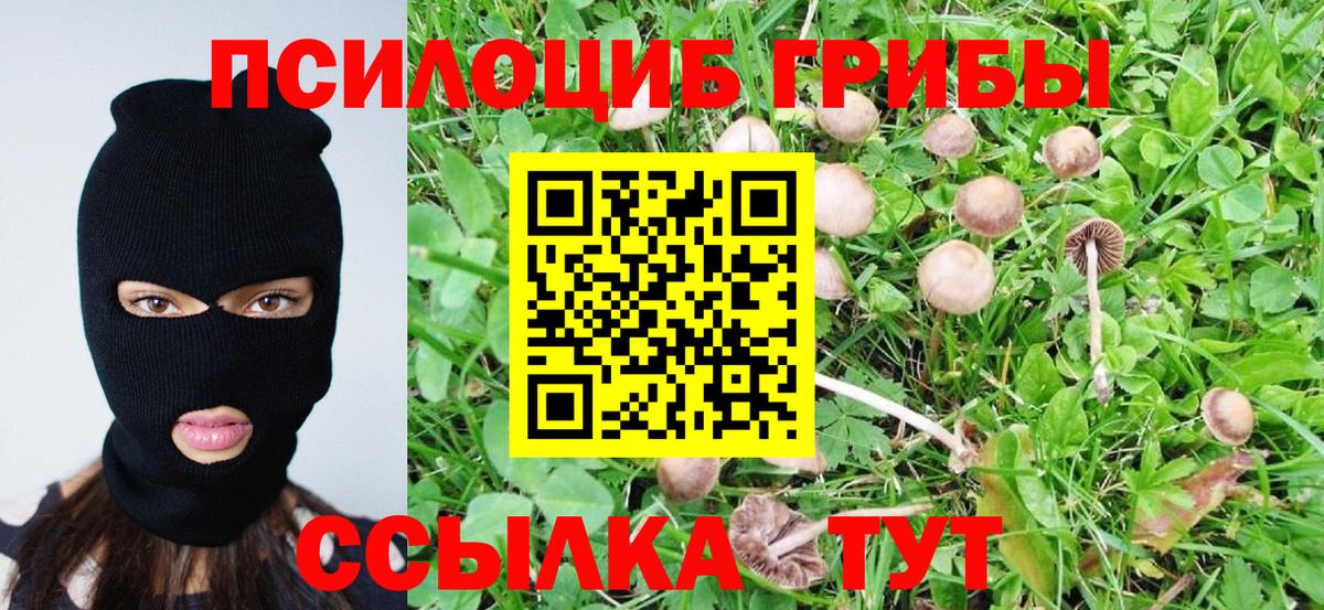 купить   Галлюциногенные грибы Psilocybe  Вход с VPN  Псилоцибиновые грибы Cubensis  Крымск 